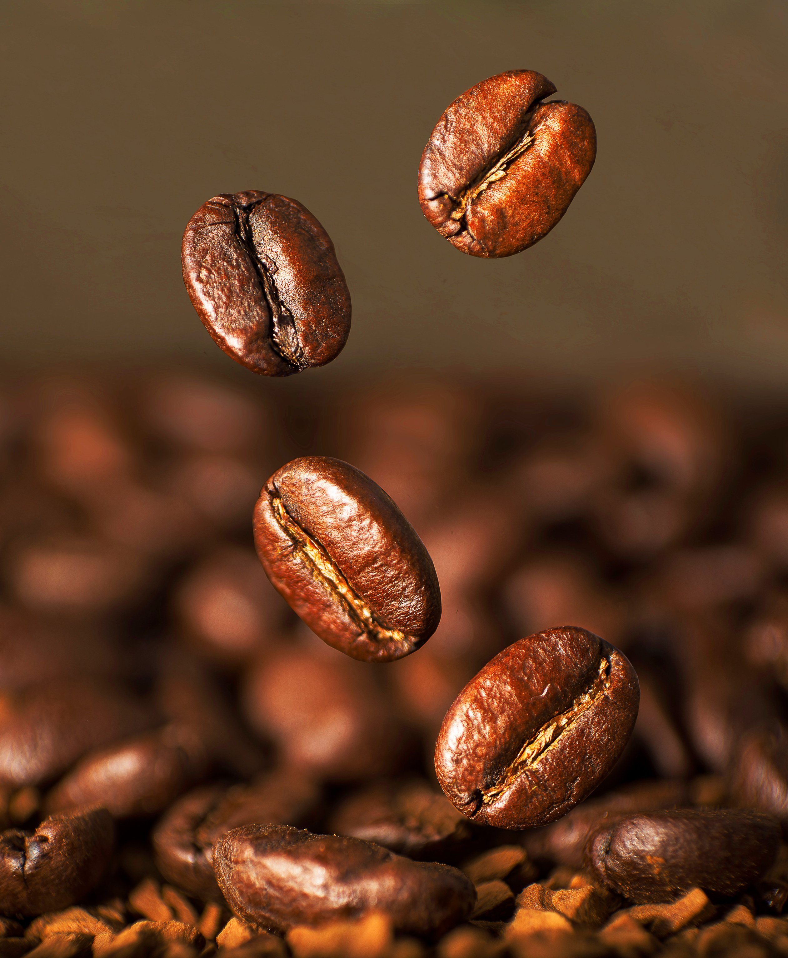 Brown Coffee Beans in Close Up Photography